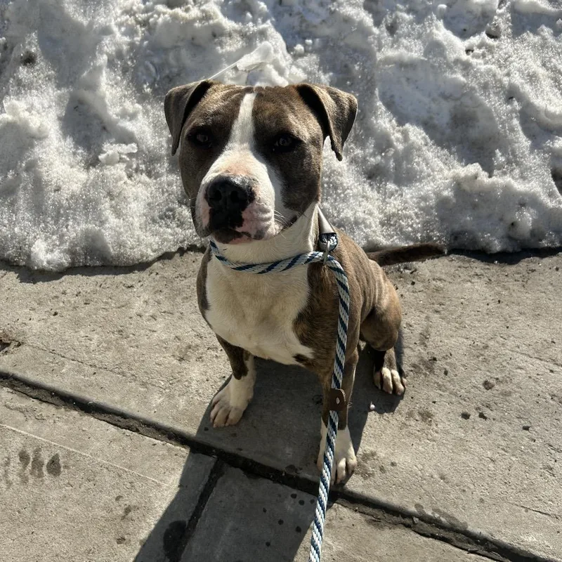 Harry Styles thumbnail 4