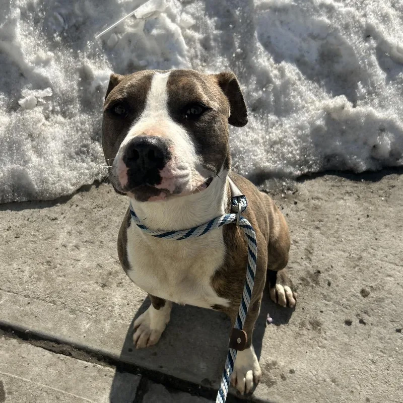 Harry Styles thumbnail 5