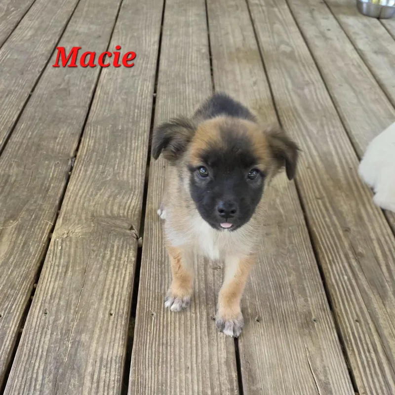 Macie Mars thumbnail 2