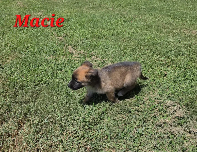 Macie Mars thumbnail 3