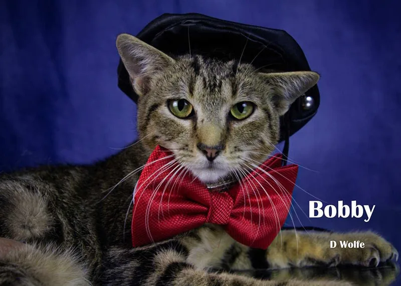 Bobbie thumbnail 3