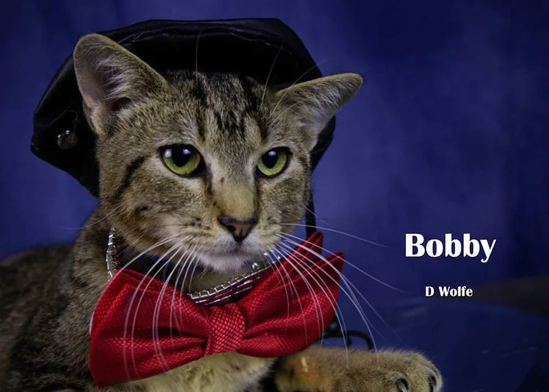 Bobbie thumbnail 4