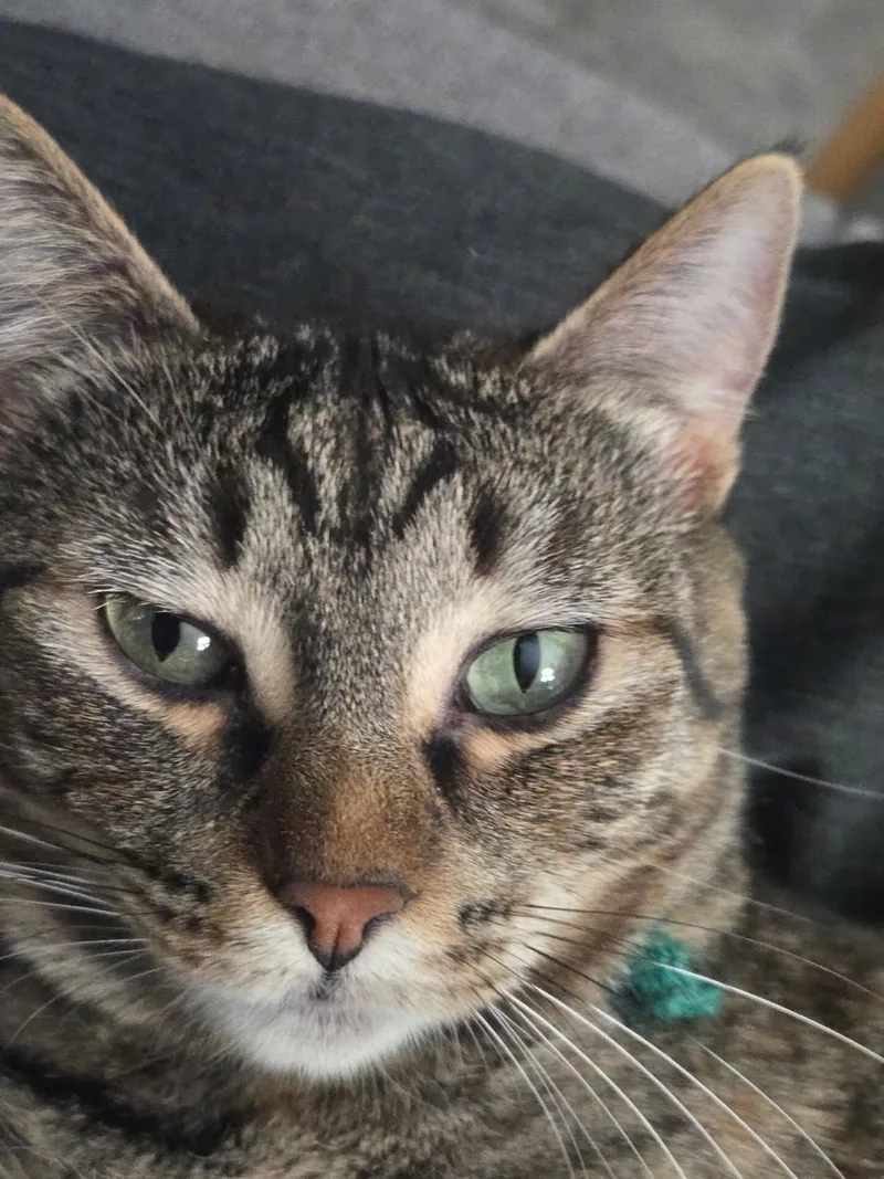 Lilah thumbnail 2