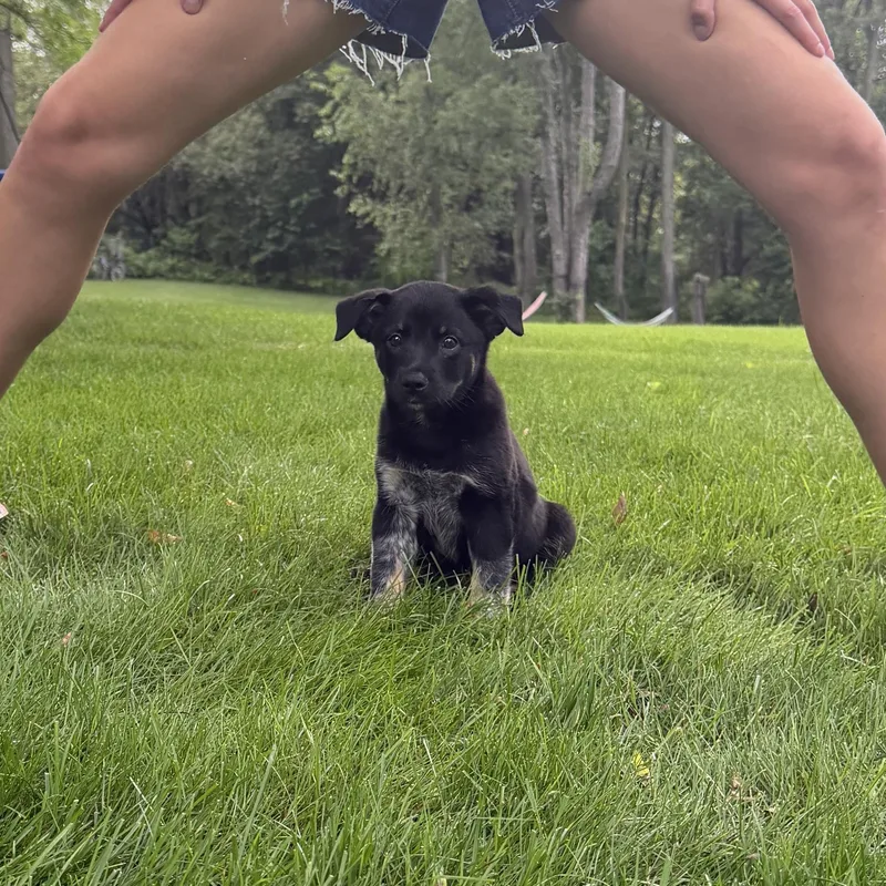 Jenny thumbnail 4