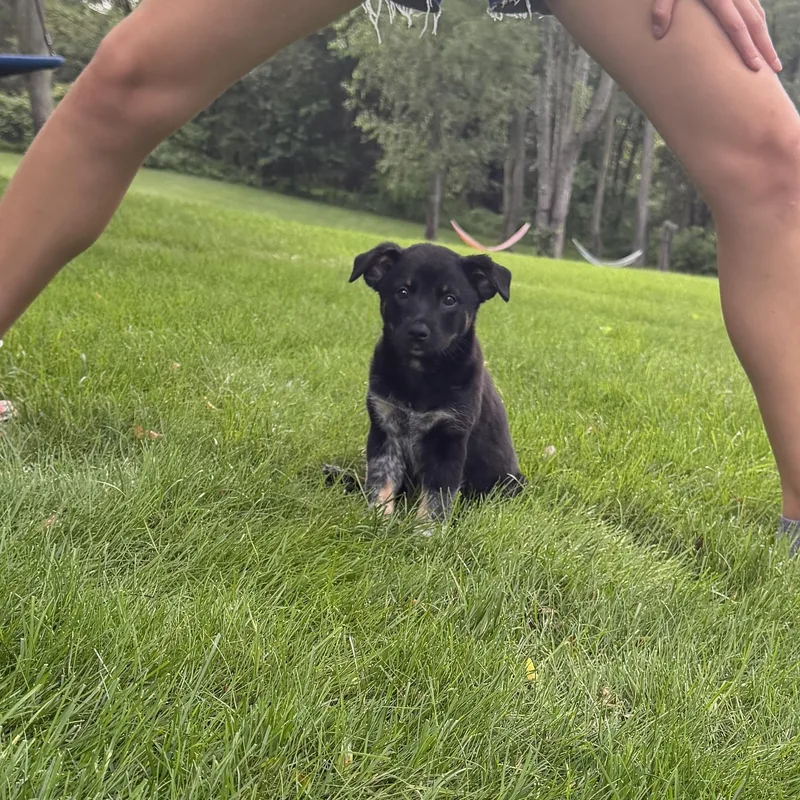 Jenny thumbnail 5