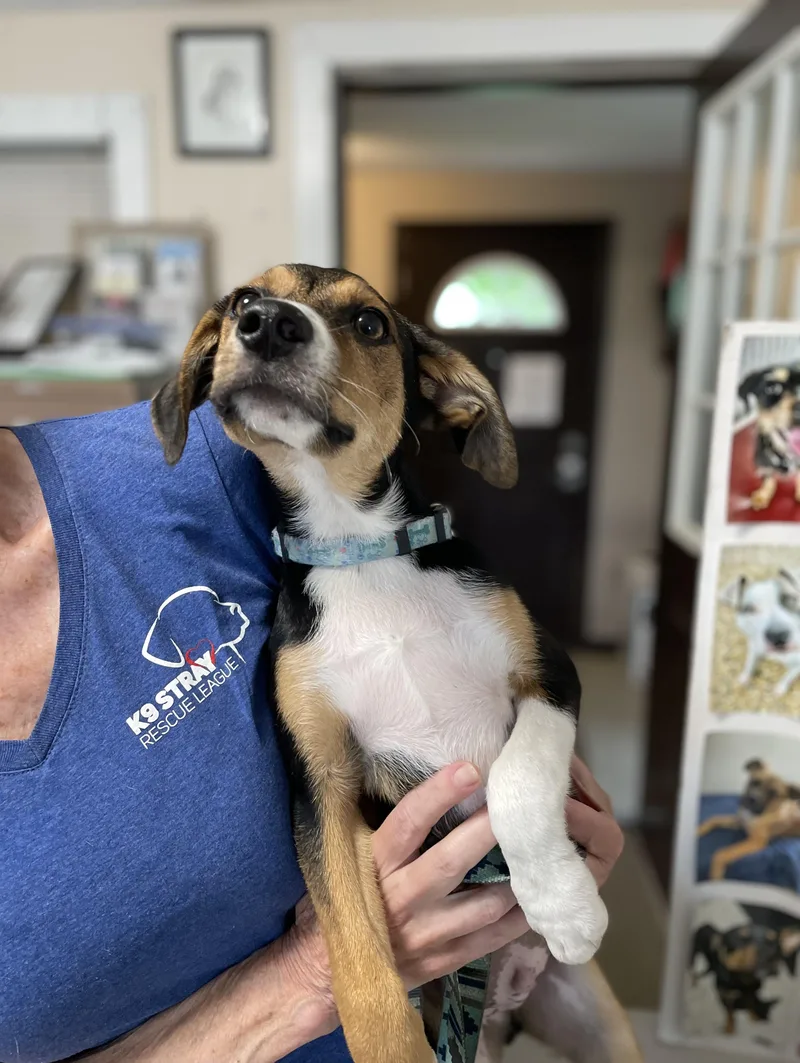 Coco thumbnail 4
