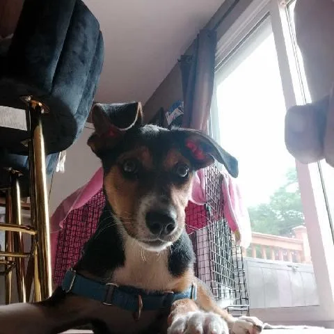 Coco thumbnail 6