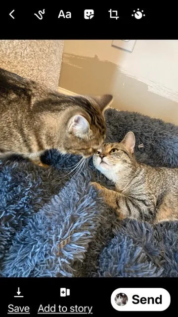 Carsonville Cacao thumbnail 2