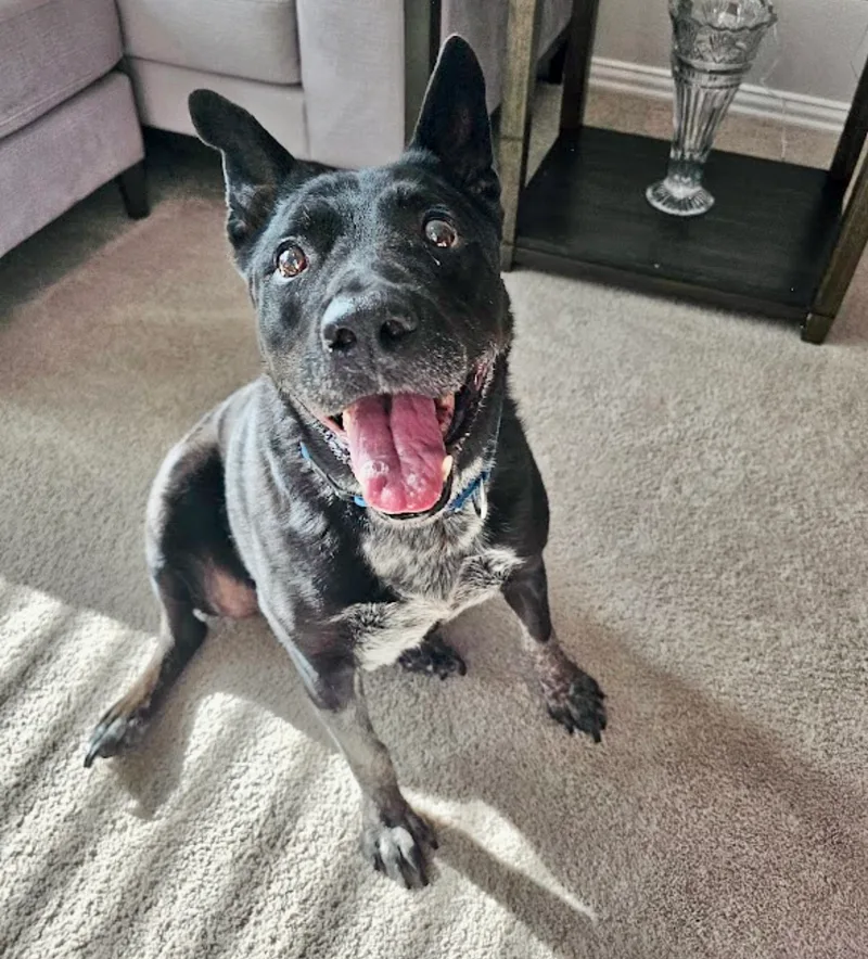 Miss Daisy thumbnail 5