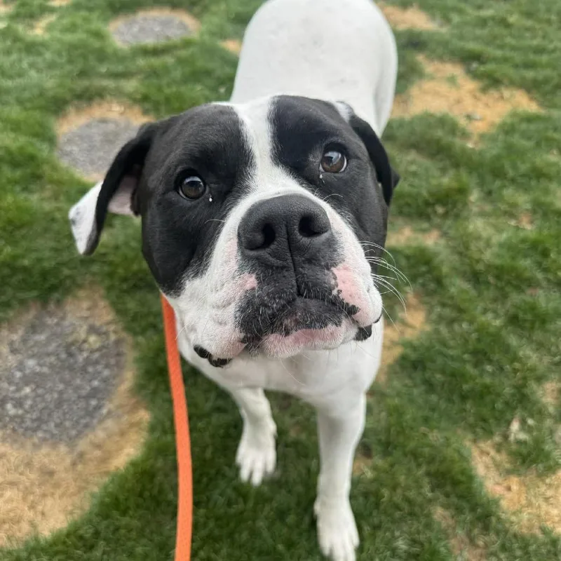 Mountain thumbnail 2