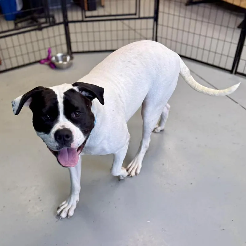 Mountain thumbnail 3