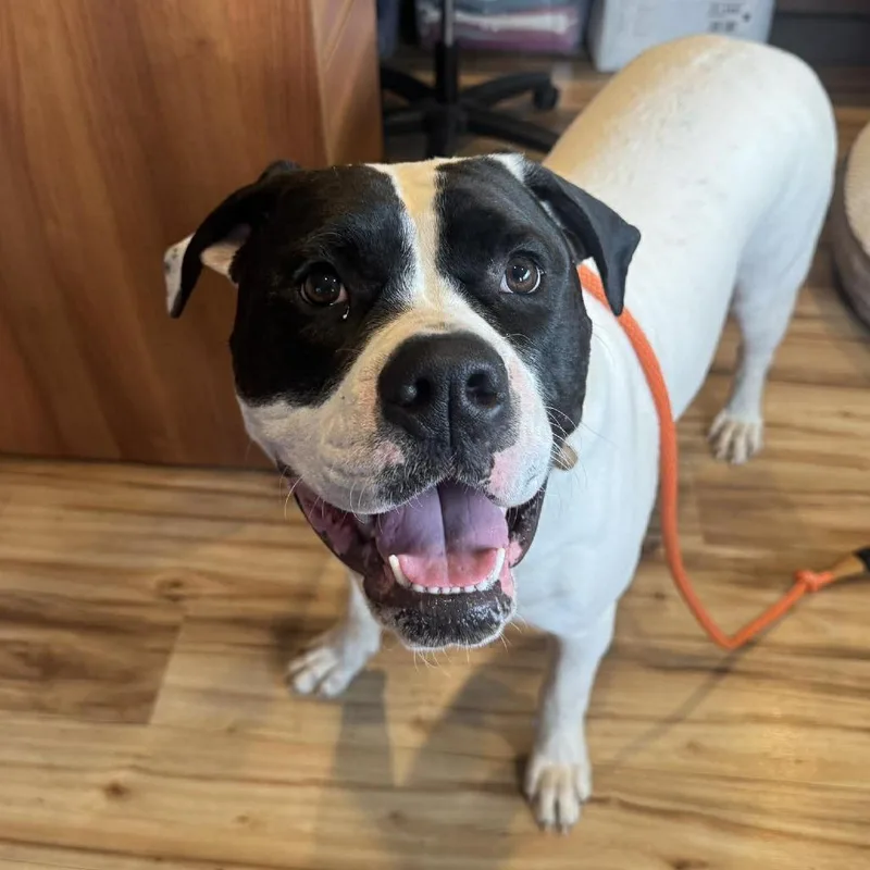 Mountain thumbnail 4