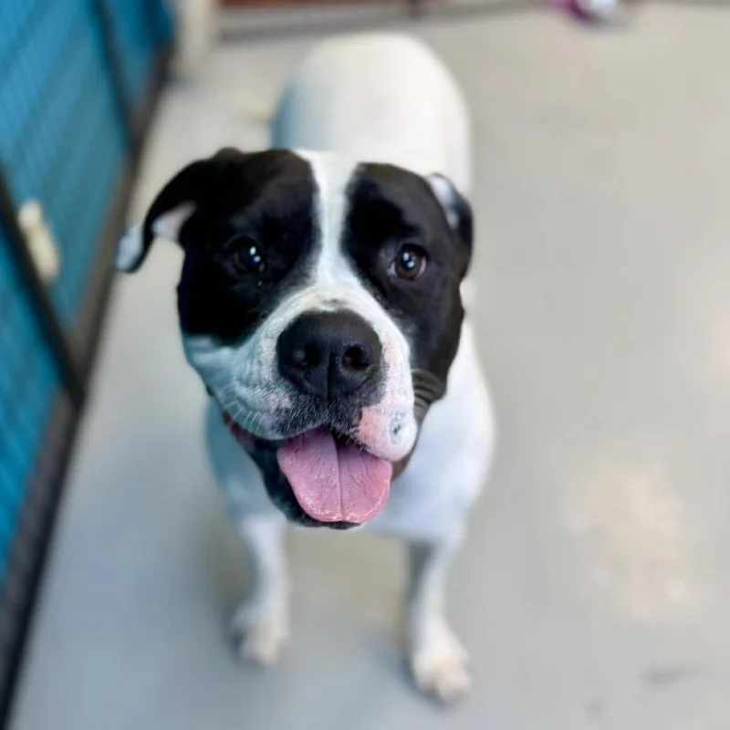 Mountain thumbnail 5