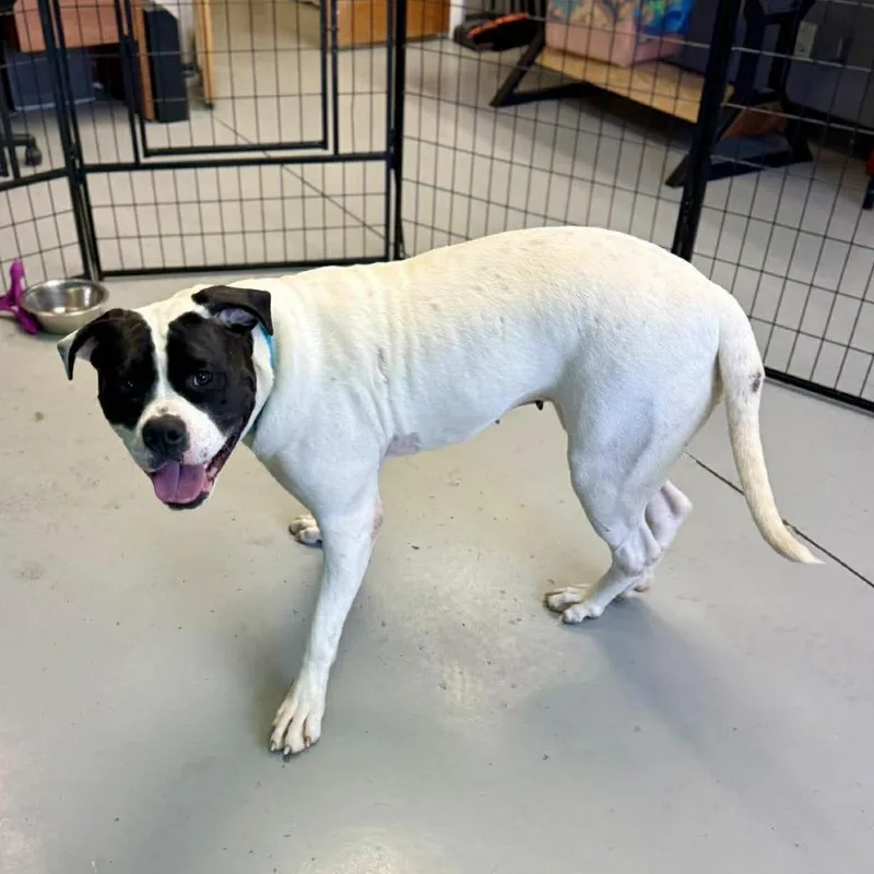 Mountain thumbnail 6