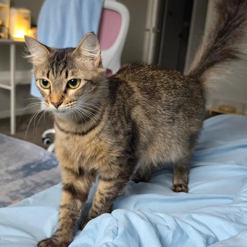 Rosie thumbnail 3