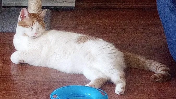 Hester thumbnail 4