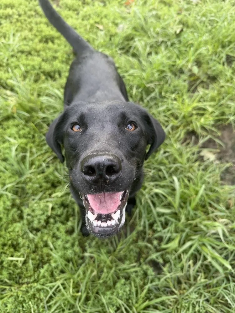 Luna