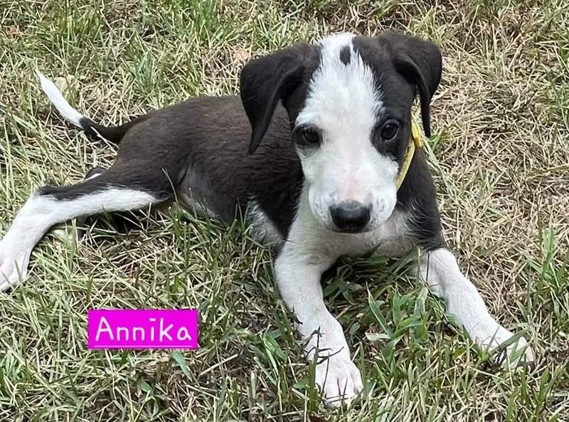 Annika thumbnail 3