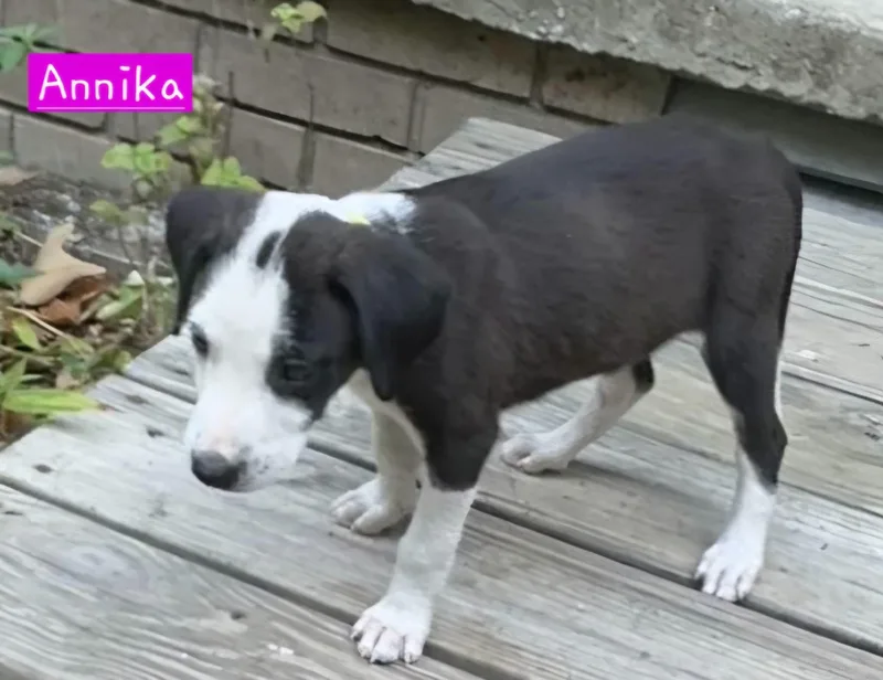 Annika thumbnail 4