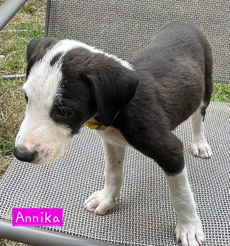 Annika thumbnail 6