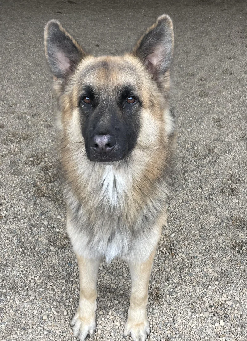 Freddy thumbnail 3