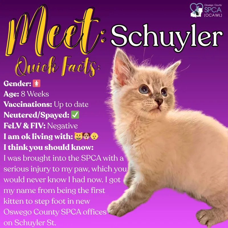 Schuyler thumbnail 2