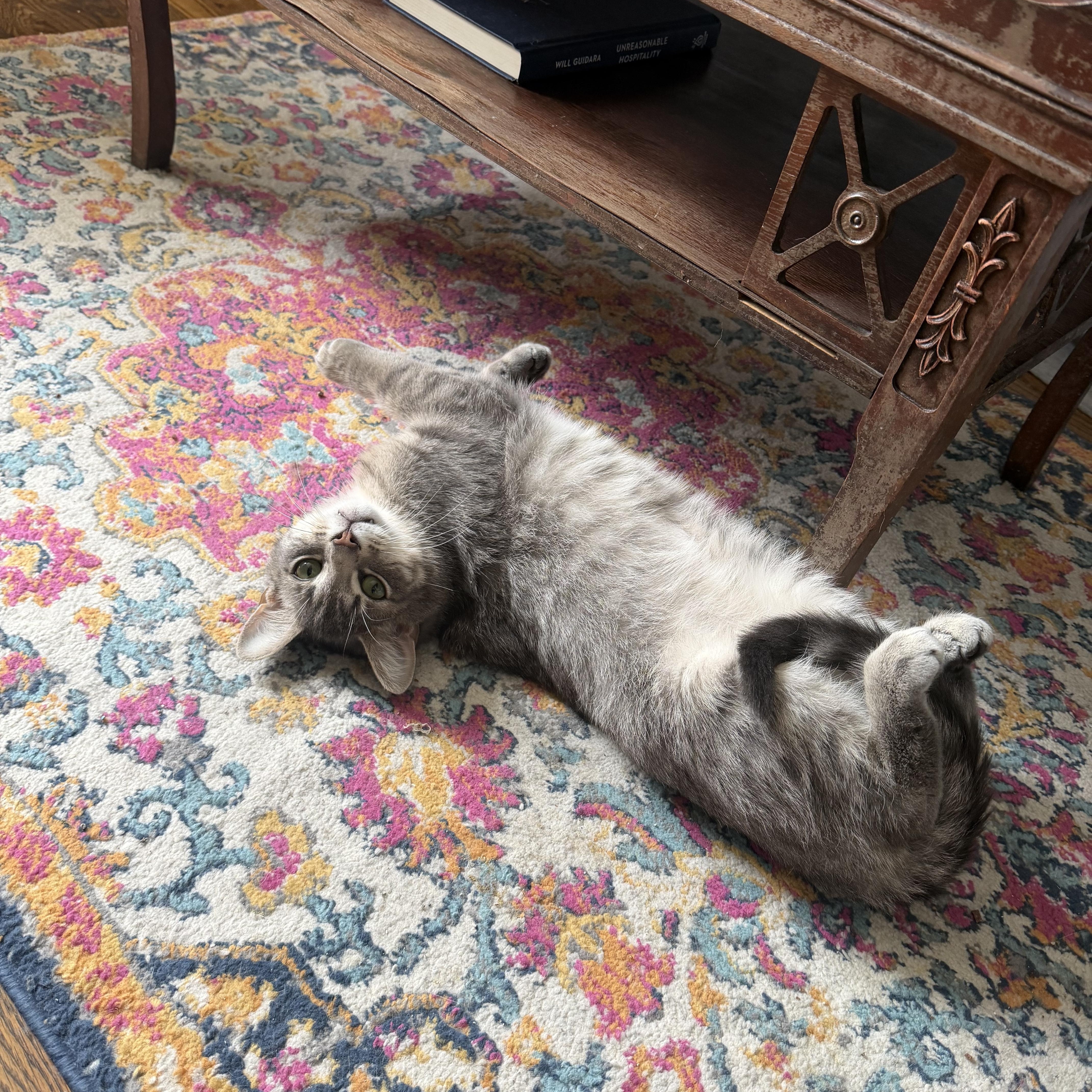 Poblano & Shadowbox thumbnail 3