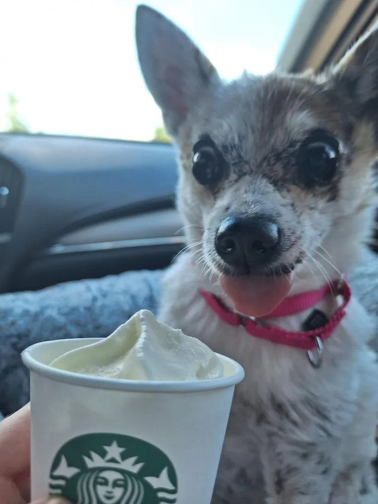 Suki thumbnail 3