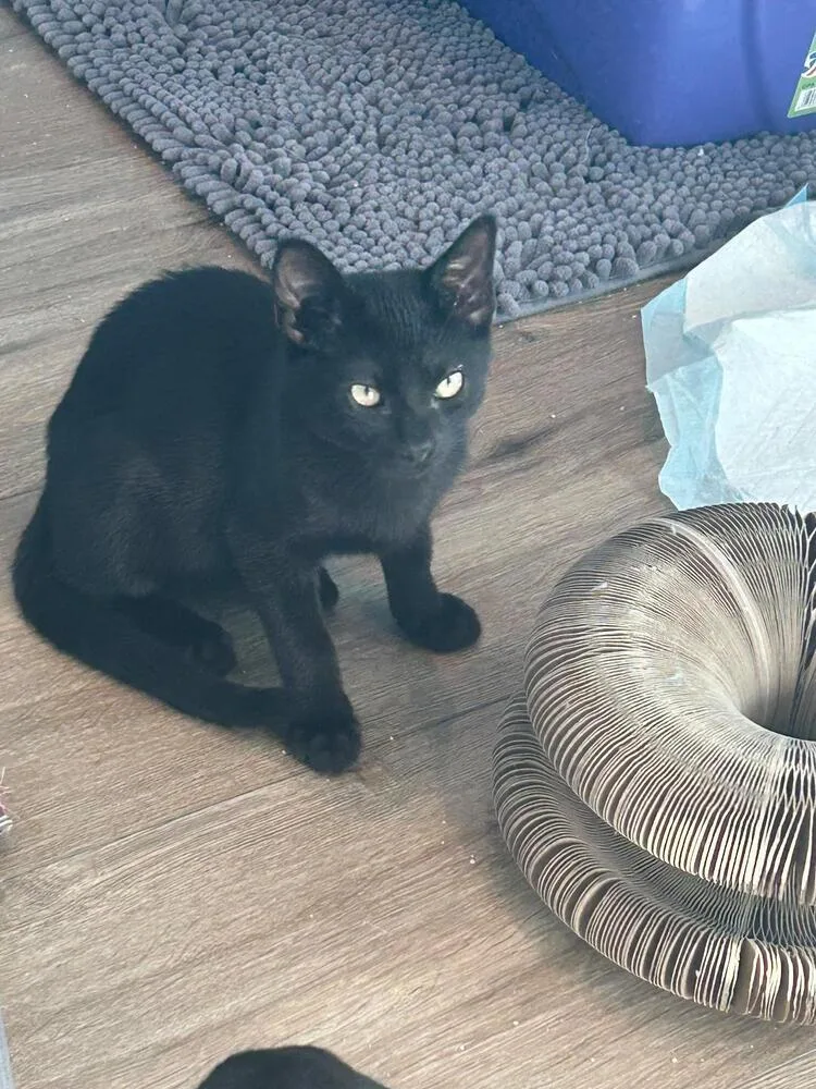Zuko