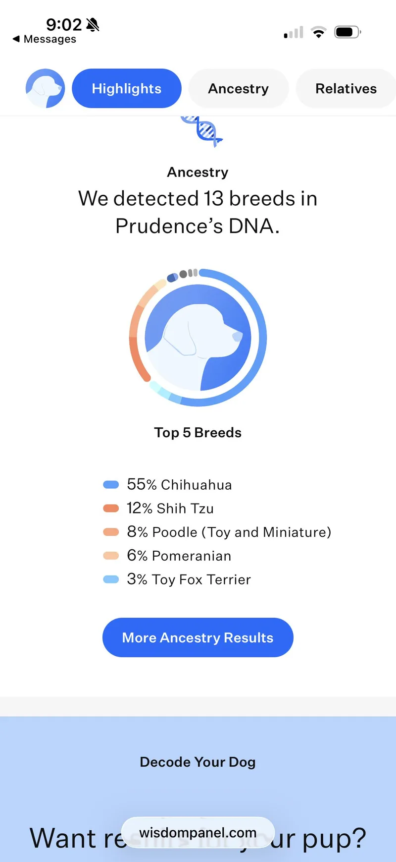 Prudence thumbnail 2