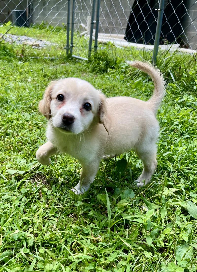 Asia
