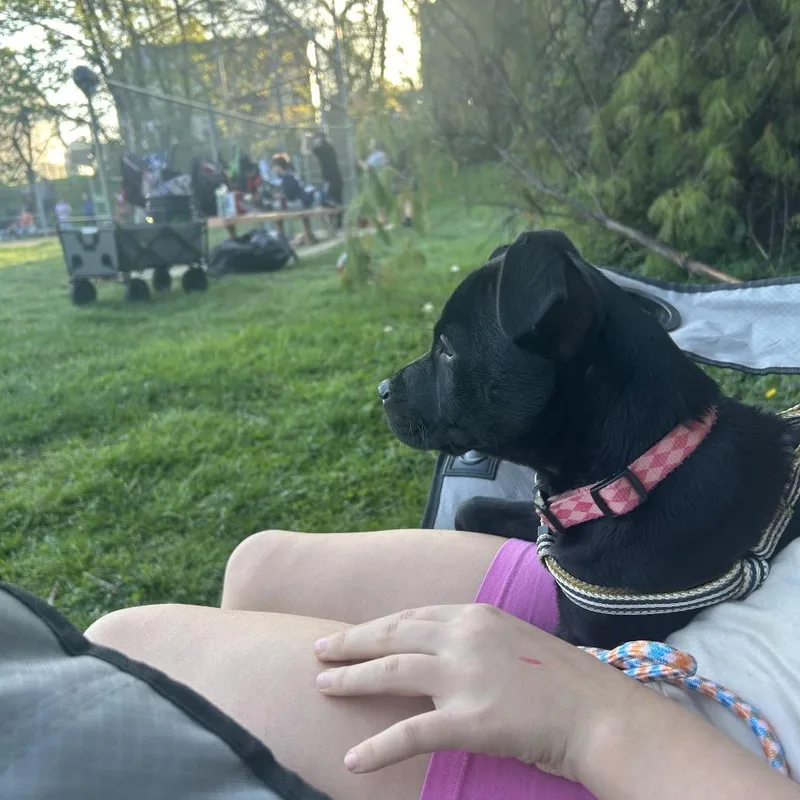 Maddison thumbnail 2