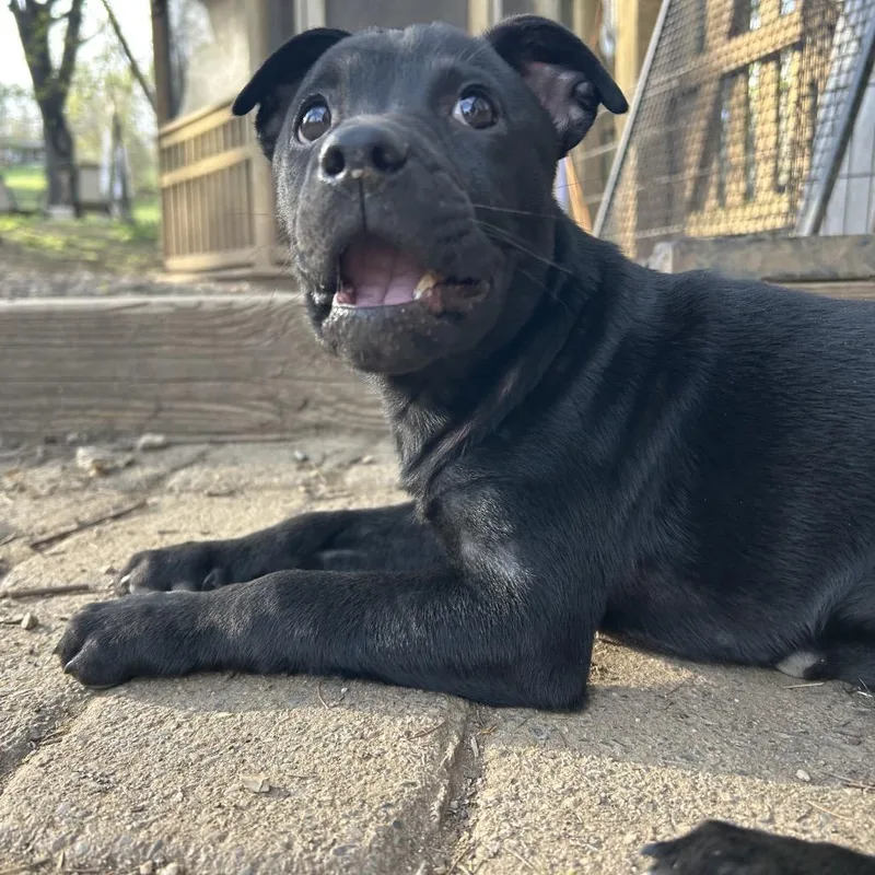 Maddison thumbnail 3