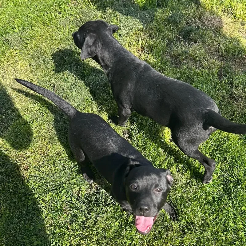 Maddison thumbnail 4