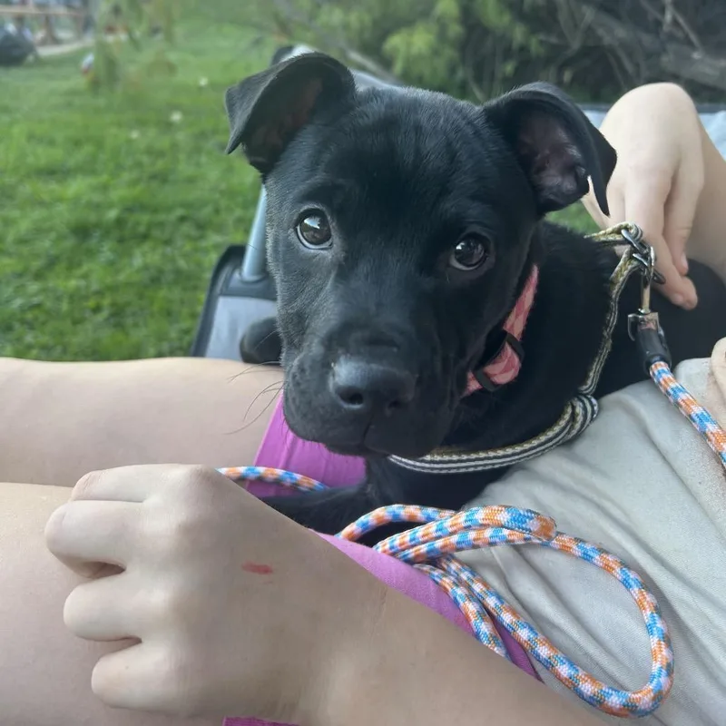 Maddison thumbnail 5