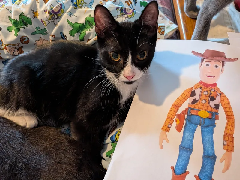 Woody thumbnail 4