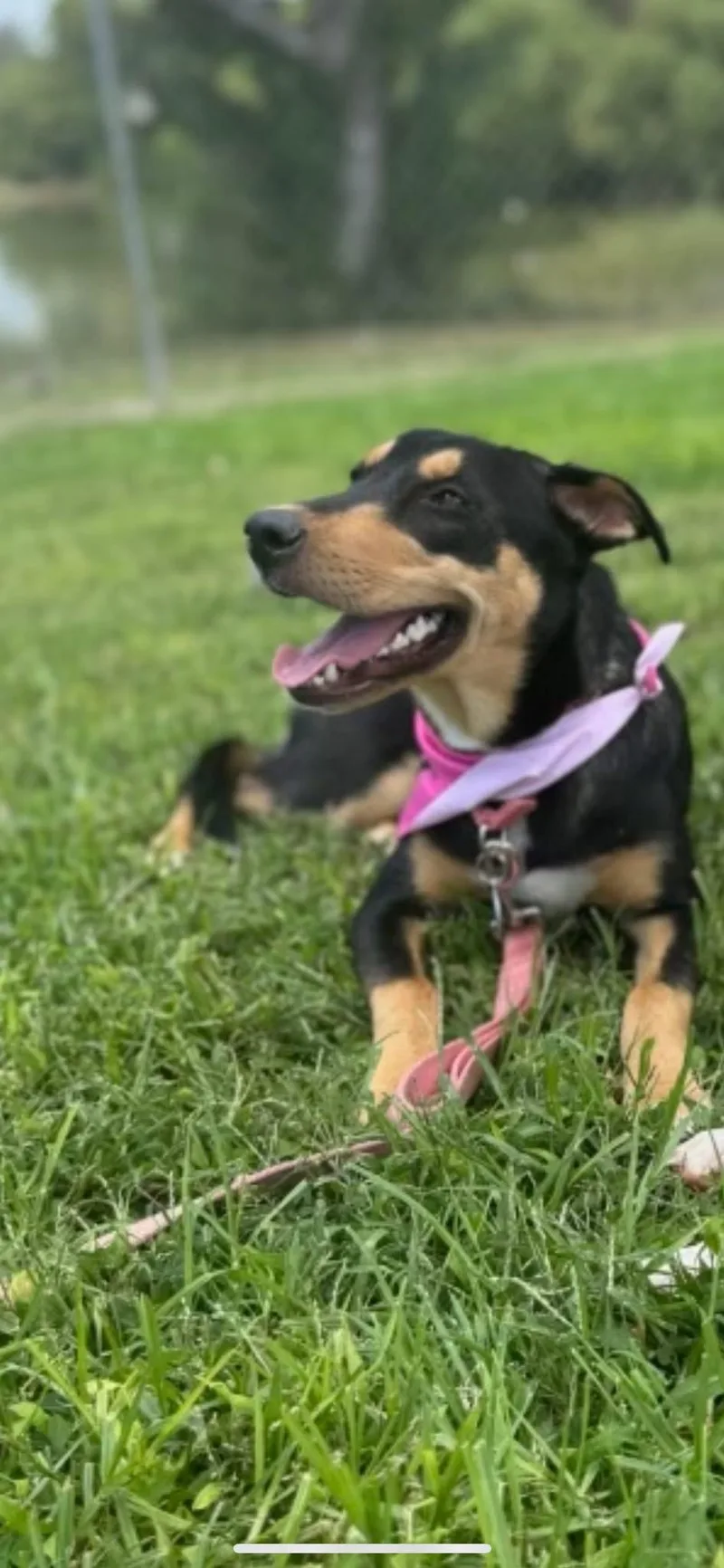 Teagan Urgent  Longtime thumbnail 5