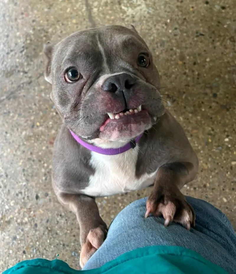 Maggie