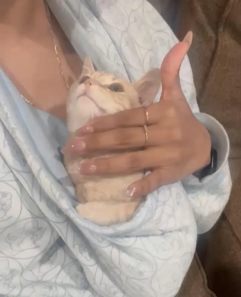 Momo mo thumbnail 3