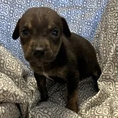 Ny Sadie Avail Apr thumbnail 2