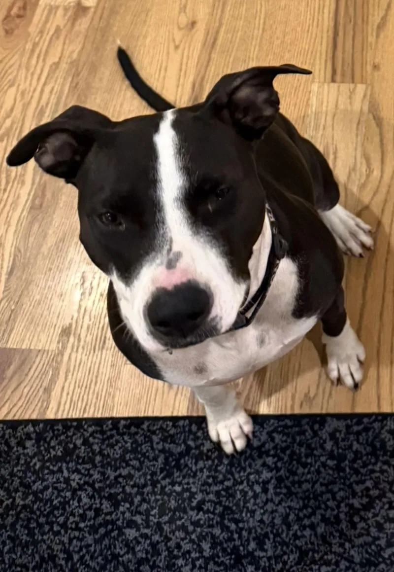 Miss Daisy thumbnail 3