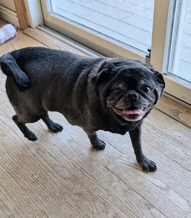 Luna Lou thumbnail 2
