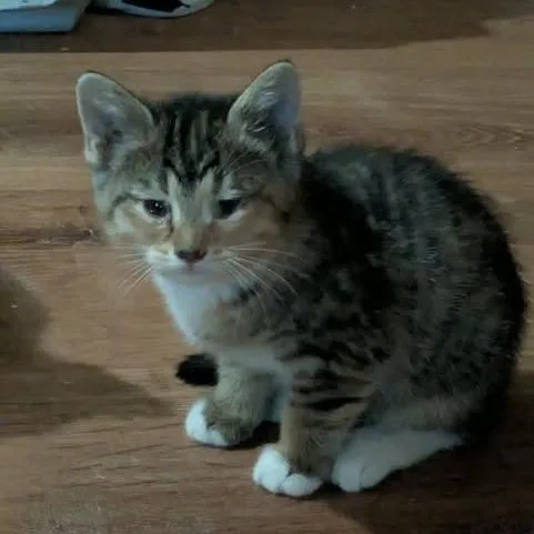 Billie Jean
