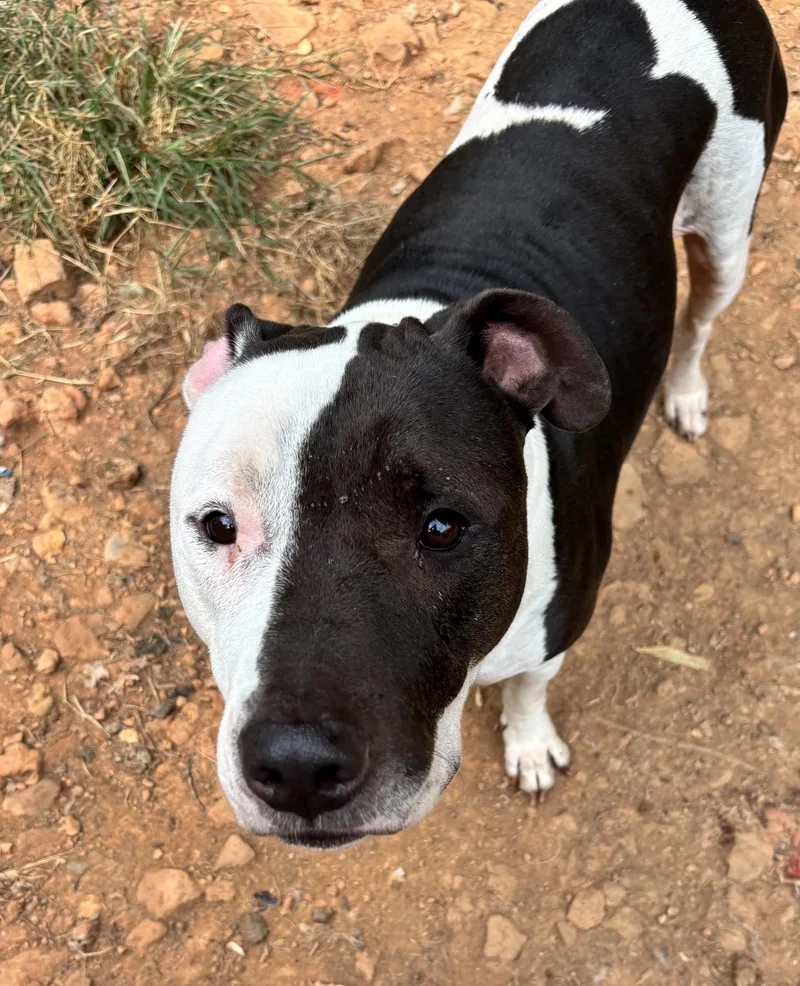 Max