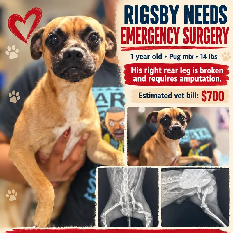 Rigsby thumbnail 3
