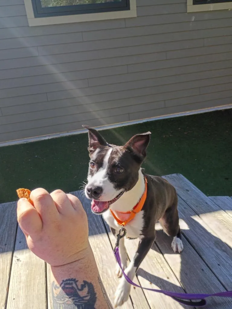 Gigi thumbnail 2
