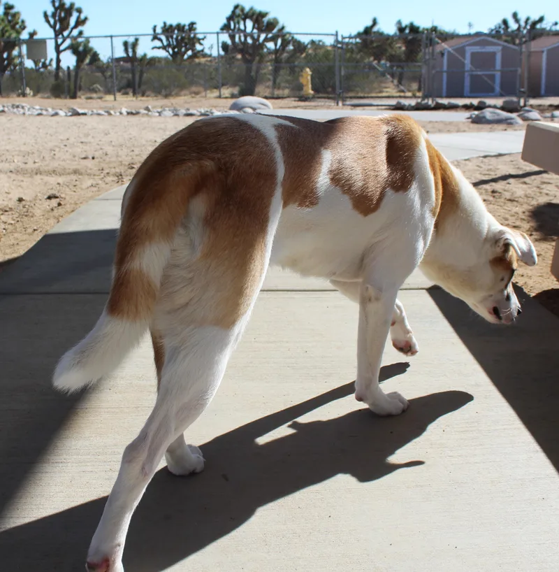 Sheri Moon thumbnail 4