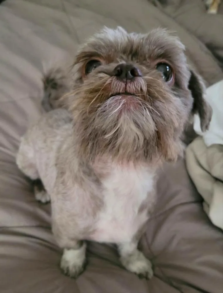 Hershey