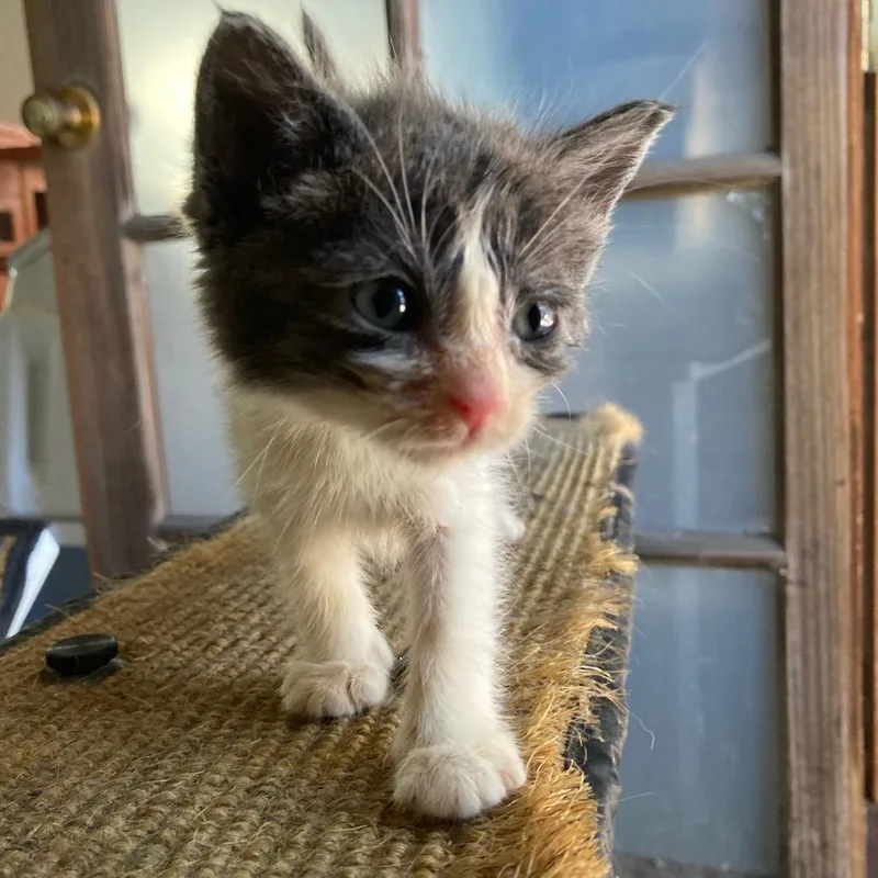 Belize thumbnail 6