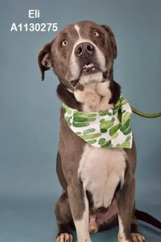 Eli  Longtime Resident!